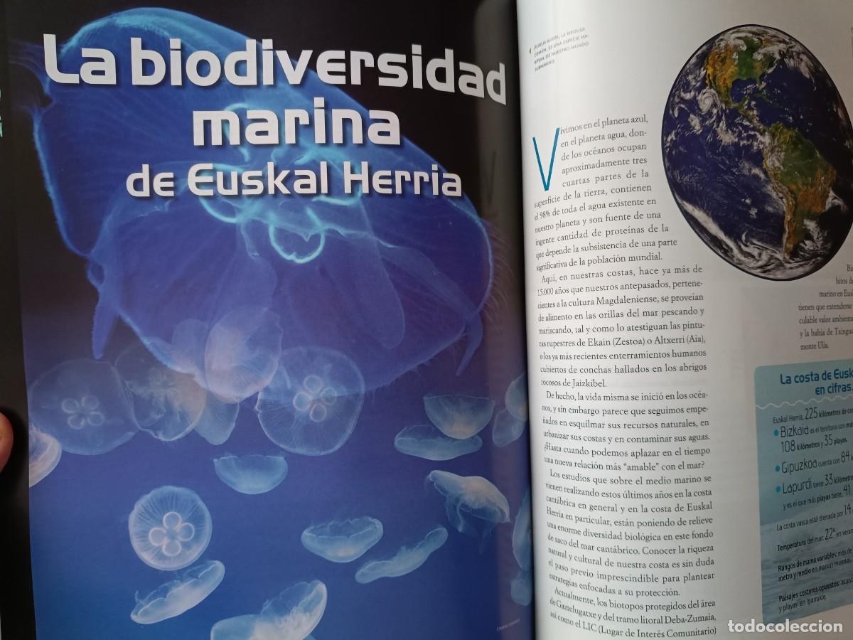 Coleccionismo de revistas y peri&oacute;dicos: BIODIVERSIDAD MARINA Y PESCA. 15 PAGS. DE REVISTA EUSKAL HERRIA, 2013