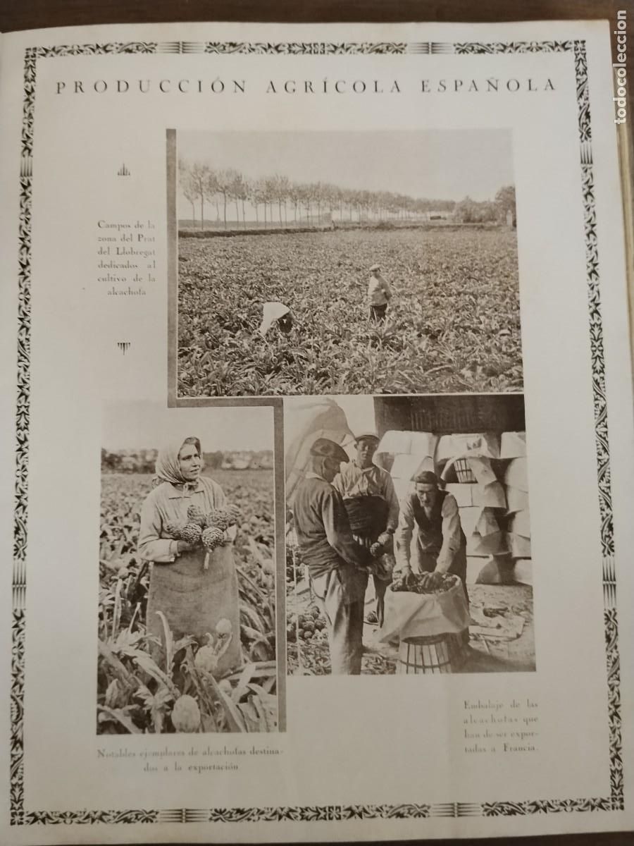 Coleccionismo de revistas y peri&oacute;dicos: CULTIVO ALCACHOFA PRAT LLOBREGAT / MERCADO AJOS VILAFRANCA DEL PENEDES MERCADO HOJA 1931-1932