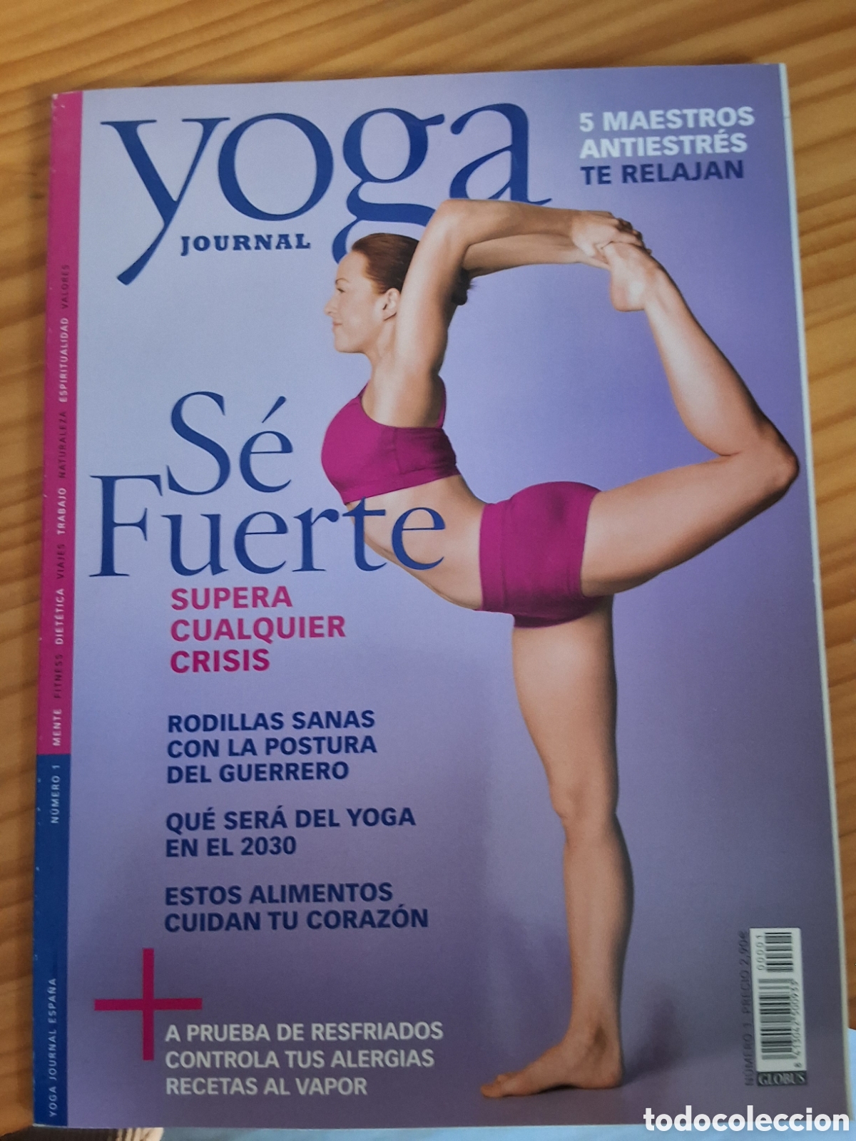 Coleccionismo de revistas y peri&oacute;dicos: Yoga journal Espa&ntilde;a revista numero 1 a&ntilde;o 2006/9