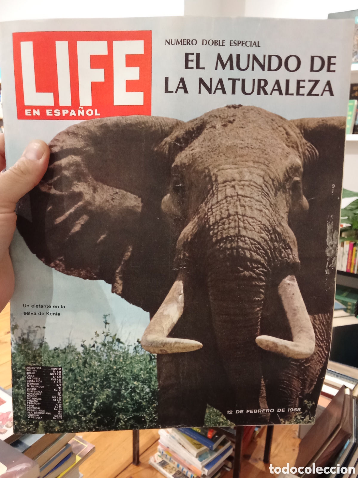 Coleccionismo de revistas y peri&oacute;dicos: Life en espa&ntilde;ol - N&uacute;mero Doble Especial El mundo de la Naturaleza