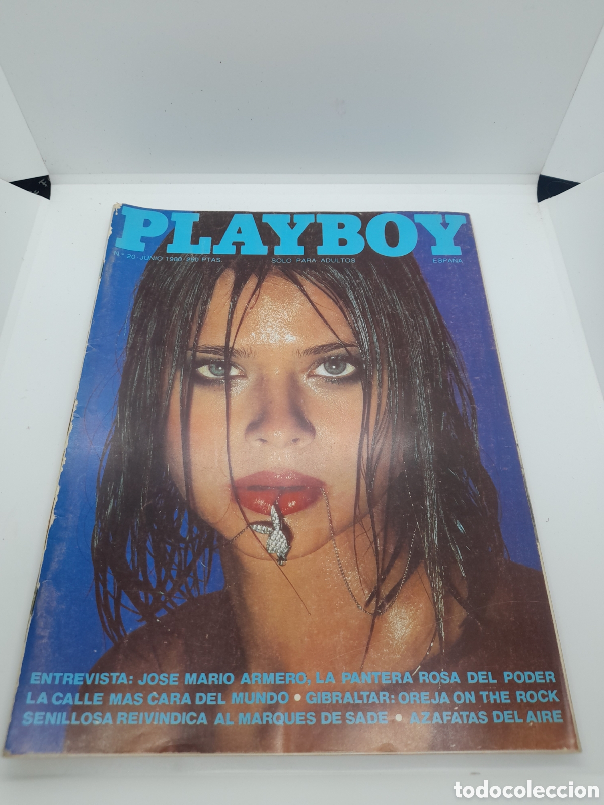 Coleccionismo de revistas y peri&oacute;dicos: REVISTA PLAYBOY. NUM. 20. JUNIO 1980