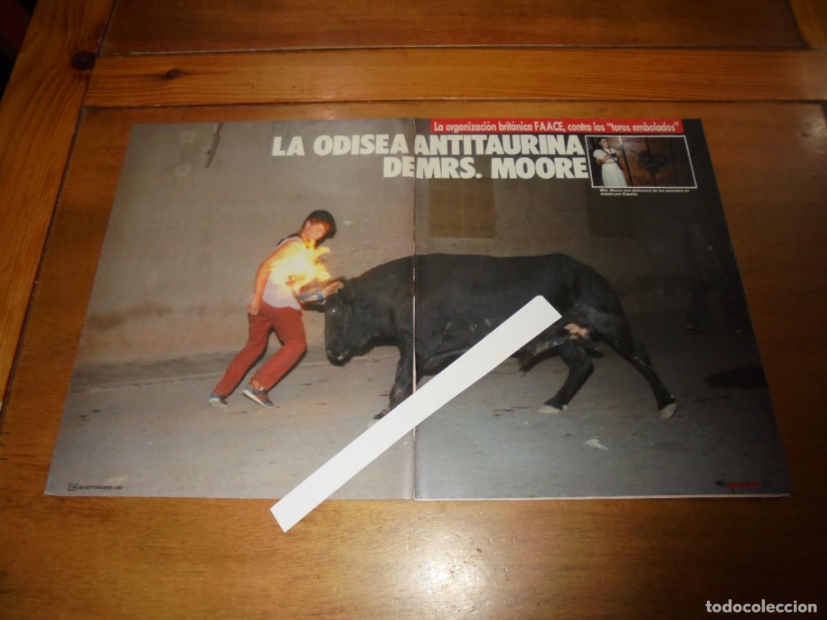 Coleccionismo de revistas y peri&oacute;dicos: RETAL 1987: VICKI MOORE, ANTITAURINA CONTRA LOS TOROS EMBOLADOS. ORGANIZACI&Oacute;N ANTITAURINA FAACE.