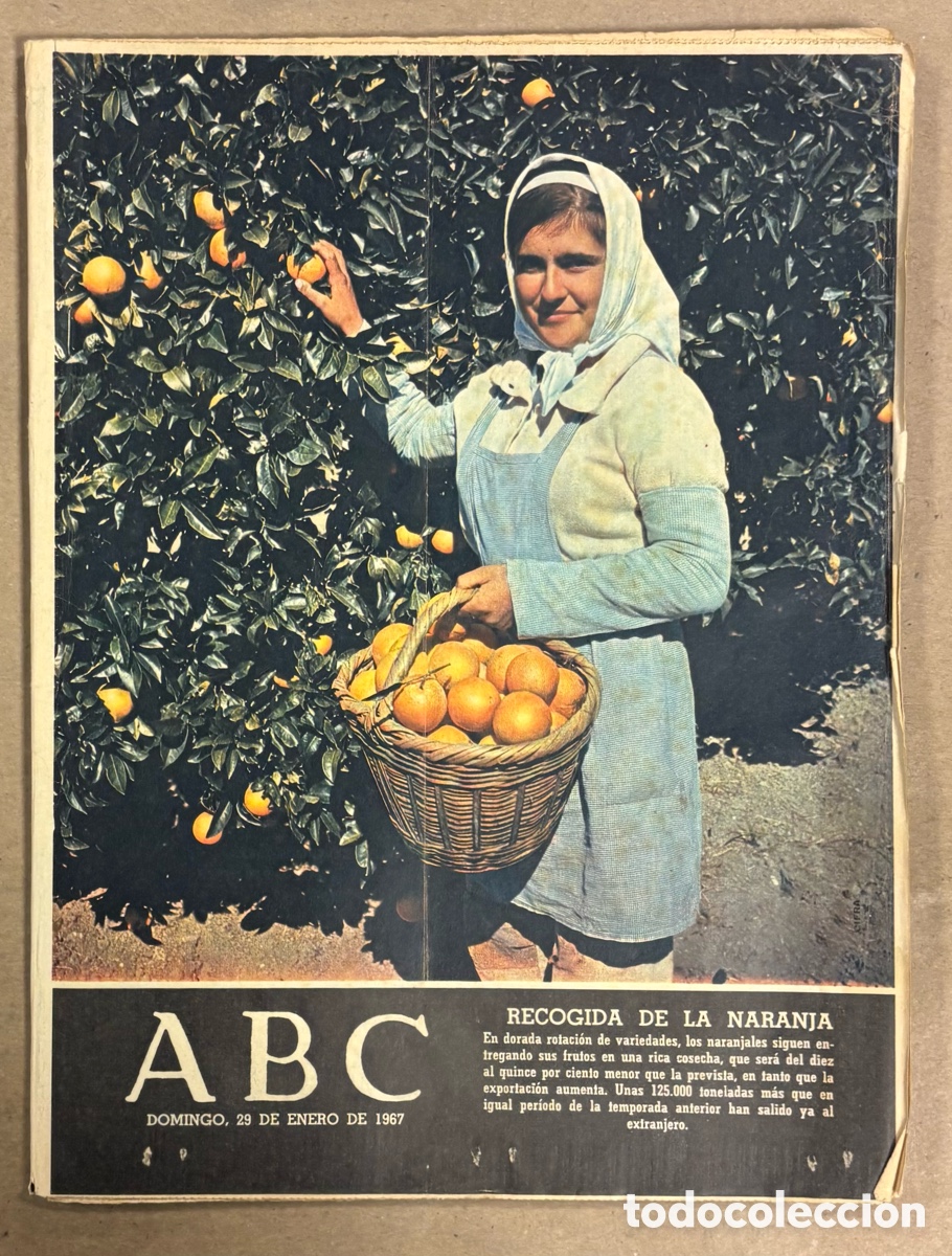 Coleccionismo de revistas y peri&oacute;dicos: ABC (29 ENERO 1967) RECOGIDA DE LA NARANJA, ADOLF VON THADDEN, ESPA&Ntilde;A - TURQU&Iacute;A,&hellip;