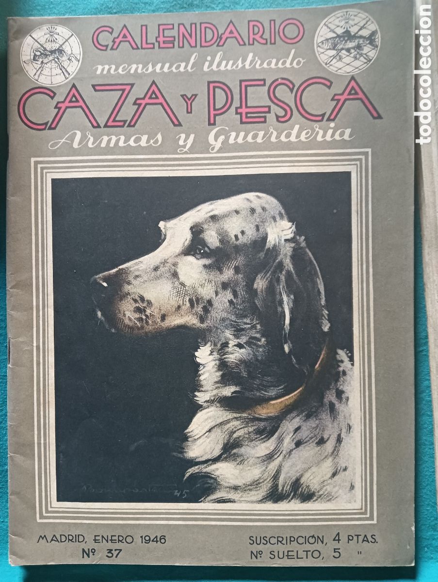 Coleccionismo de revistas y peri&oacute;dicos: Revista caza y pesca enero de 1946 n&uacute;mero 37