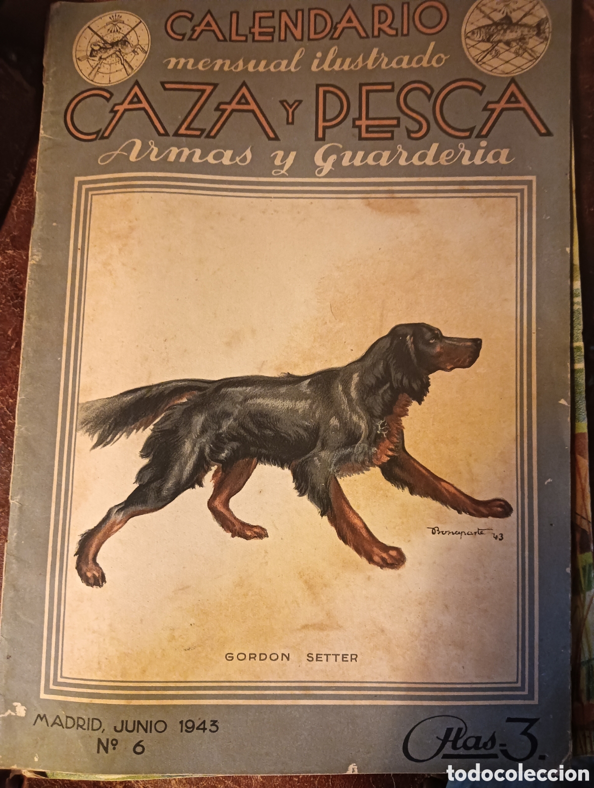 Coleccionismo de revistas y peri&oacute;dicos: Revista caza y pesca junio de 1943 n&uacute;mero seis 6