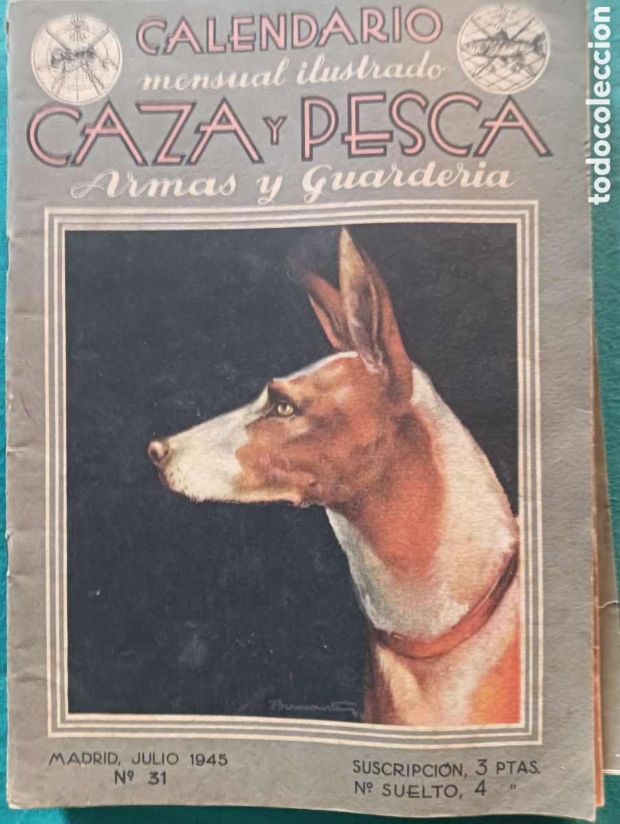 Coleccionismo de revistas y peri&oacute;dicos: Revista caza y pesca n&uacute;mero 35 julio de 1945