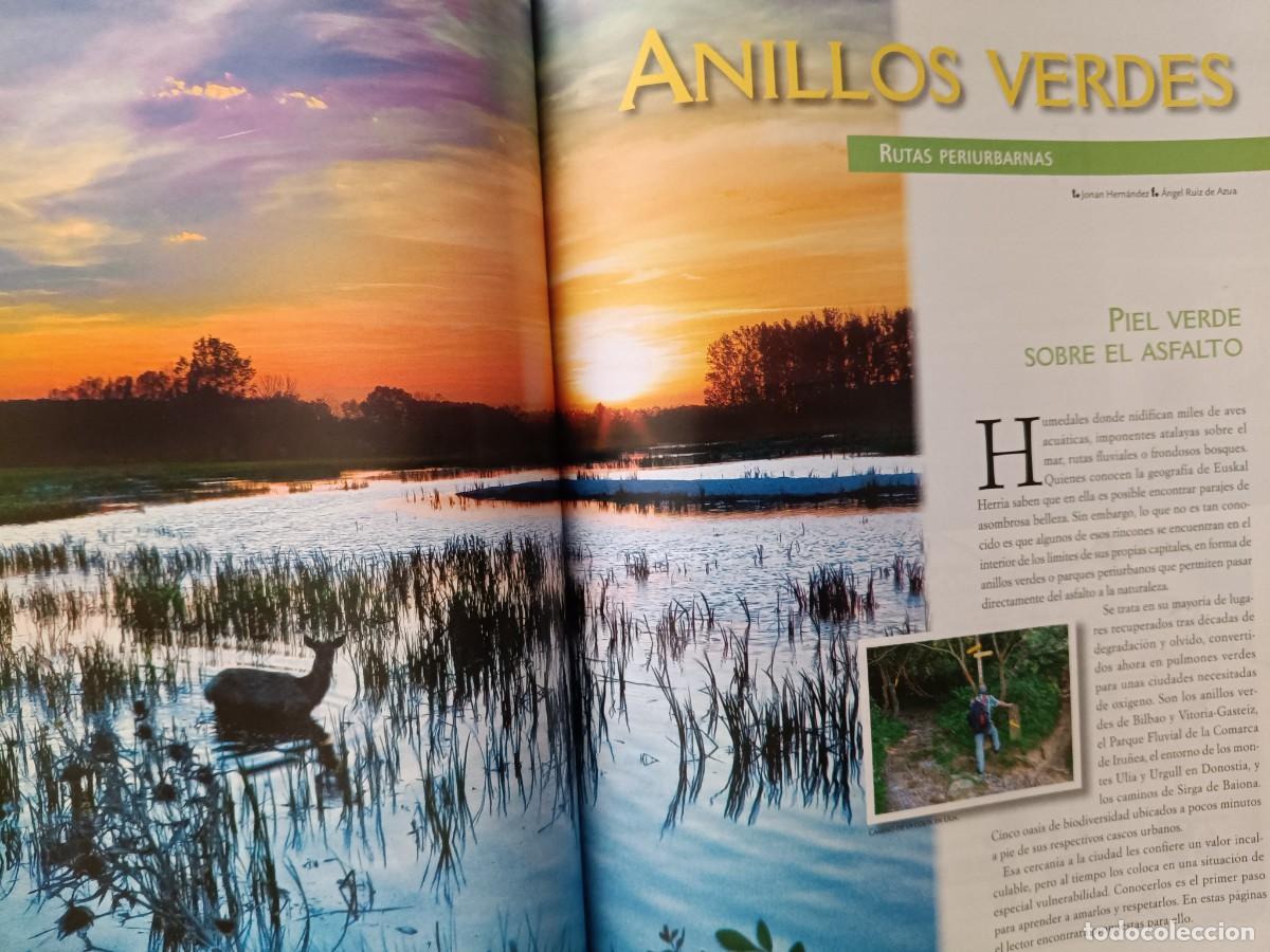 Coleccionismo de revistas y peri&oacute;dicos: ANILLOS VERDES. GASTEIZ, IRU&Ntilde;EA, DONOSTIA, BILBAO, BAIONA. 17 P&Aacute;GINAS DE EUSKAL HERRIA, 2012
