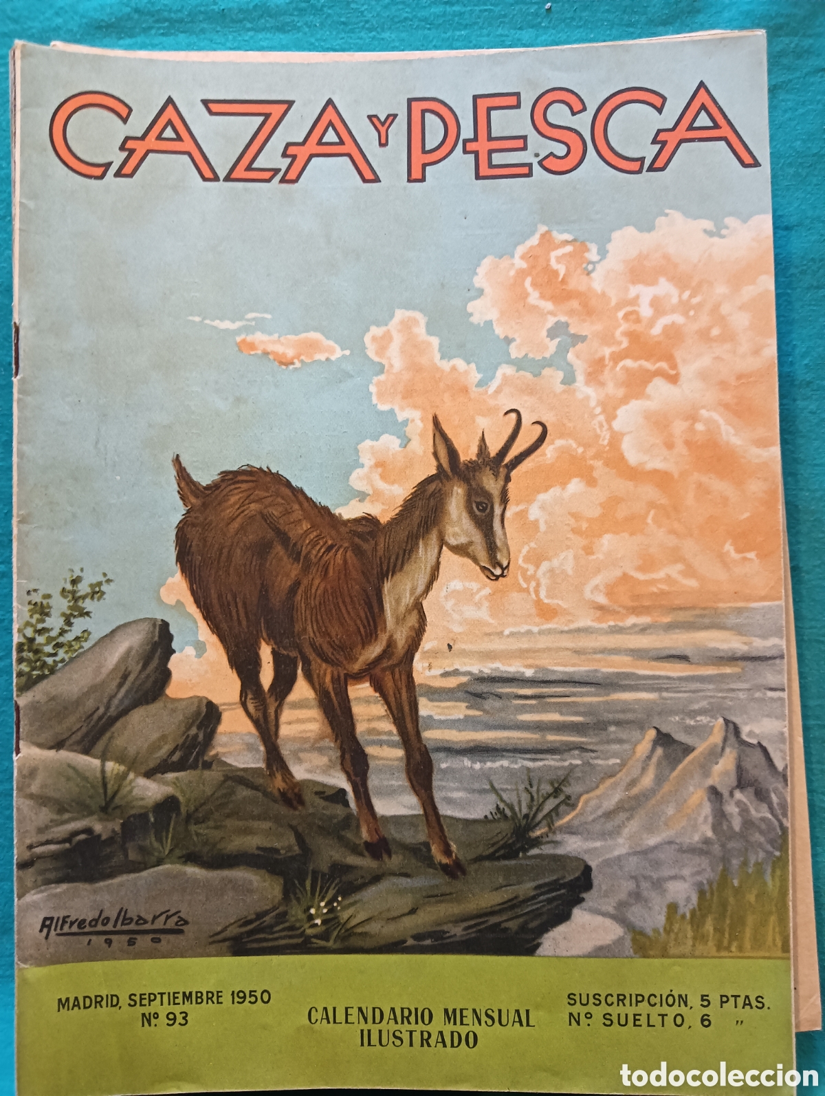 Coleccionismo de revistas y peri&oacute;dicos: Revista caza y pesca septiembre de 1950 n&uacute;mero 93