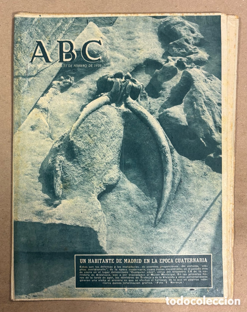 Coleccionismo de revistas y peri&oacute;dicos: ABC (11 FEBRERO 1958) ELEFANTES ERA CUATERNARIA EN MADRID, OBRAS DEL PANTANO DE YESA,&hellip;