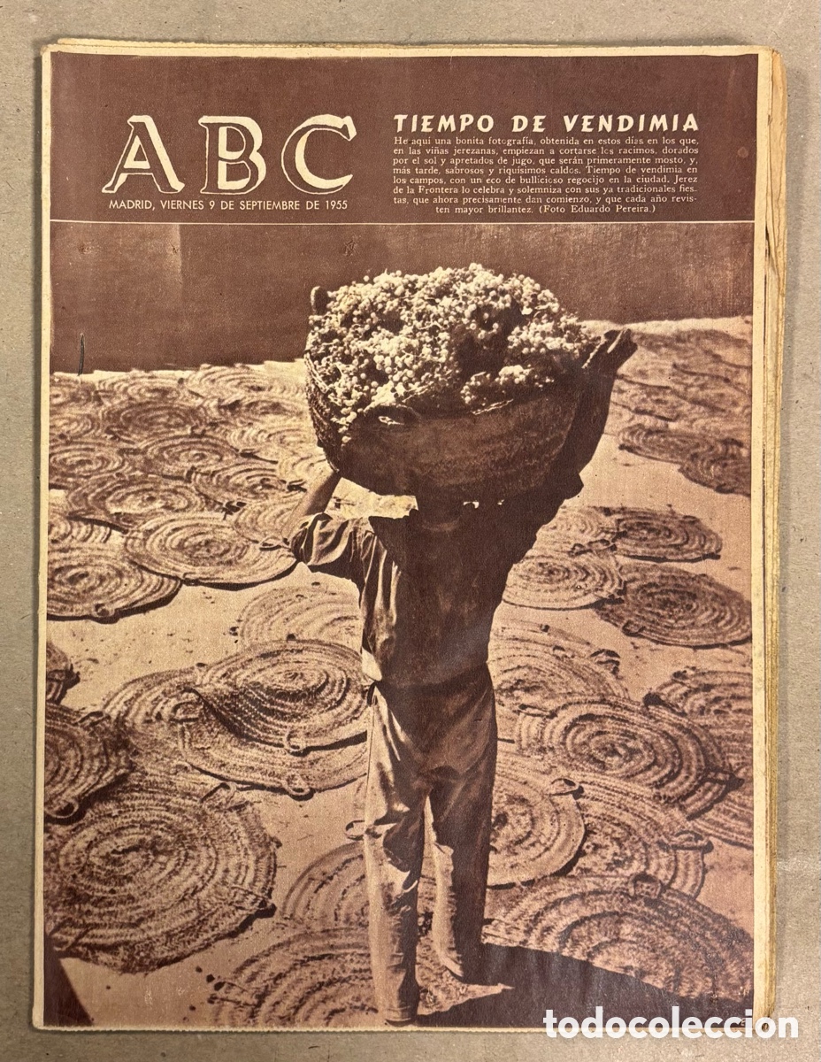 Coleccionismo de revistas y peri&oacute;dicos: ABC (9 SEPTIEMBRE 1955) VENDIMIA JEREZ DE LA FRONTERA, COPA EUROPA REAL MADRID SERVETTE, MUERTE DE U