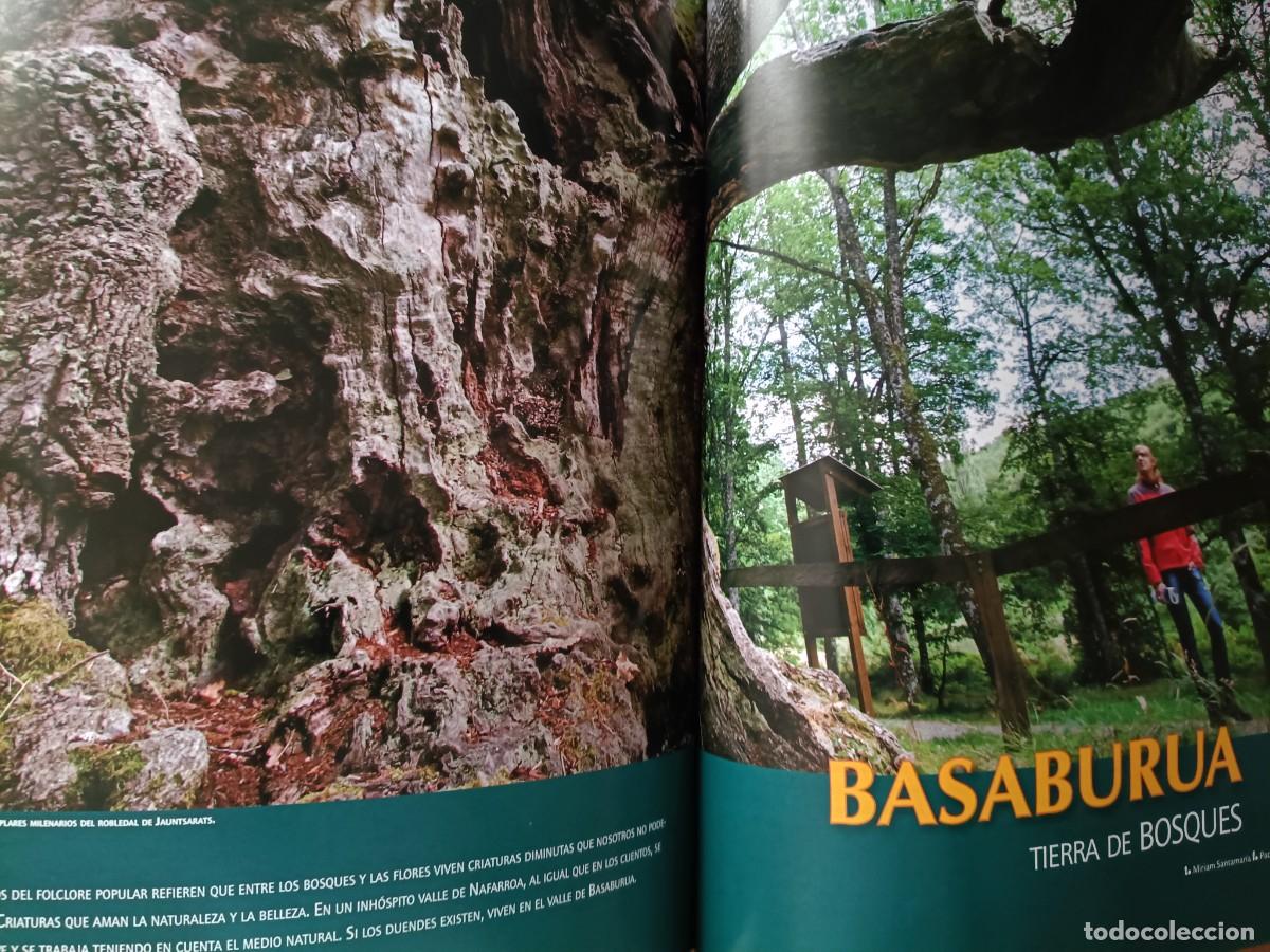 Coleccionismo de revistas y peri&oacute;dicos: VALLE DE BASABURUA, TIERRA DE BOSQUES Y DUENDES. 9 P&Aacute;GINAS DE EUSKAL HERRIA, 2010