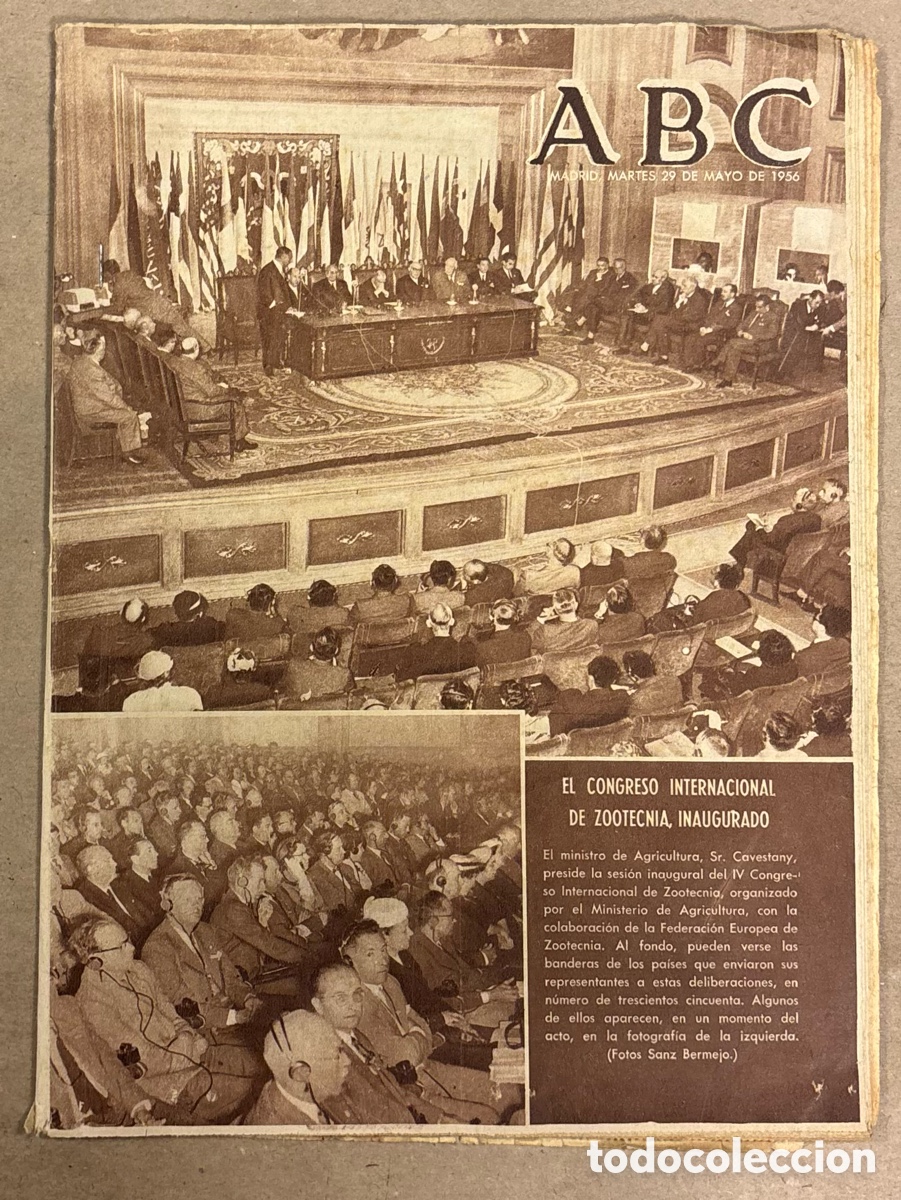 Coleccionismo de revistas y peri&oacute;dicos: ABC (29 MAYO 1956) CONGRESO INTERNACIONAL DE ZOOTECNIA, LA FUENTE DEL PADRILLO DE AVILA