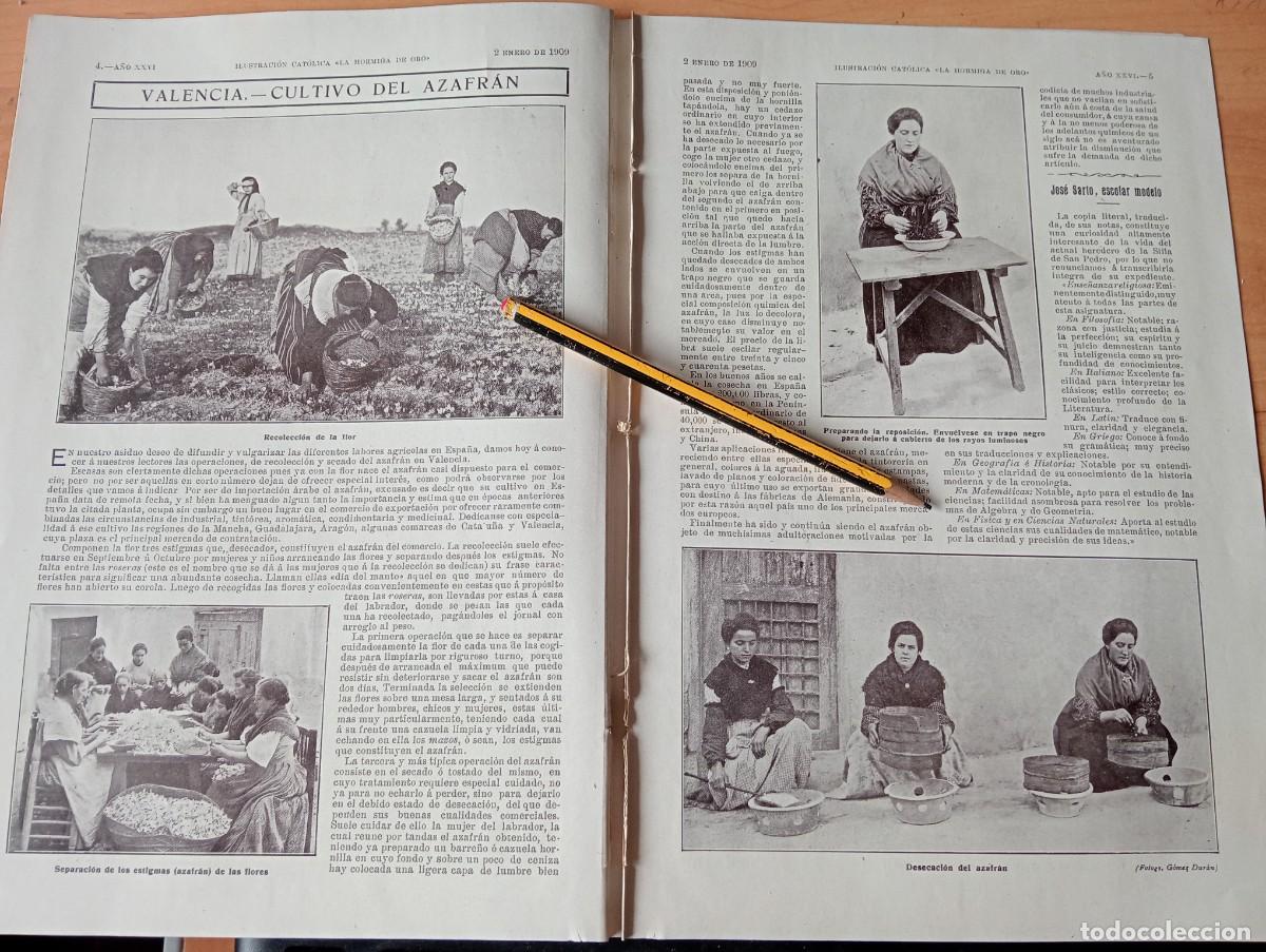 Coleccionismo de revistas y peri&oacute;dicos: REVISTA LA HORMIGA DE ORO ILUSTRACION CATOLICA A&Ntilde;O 1909 GOSSAERT CATEDRAL PAMPLONA AZAFRAN VALENCIA