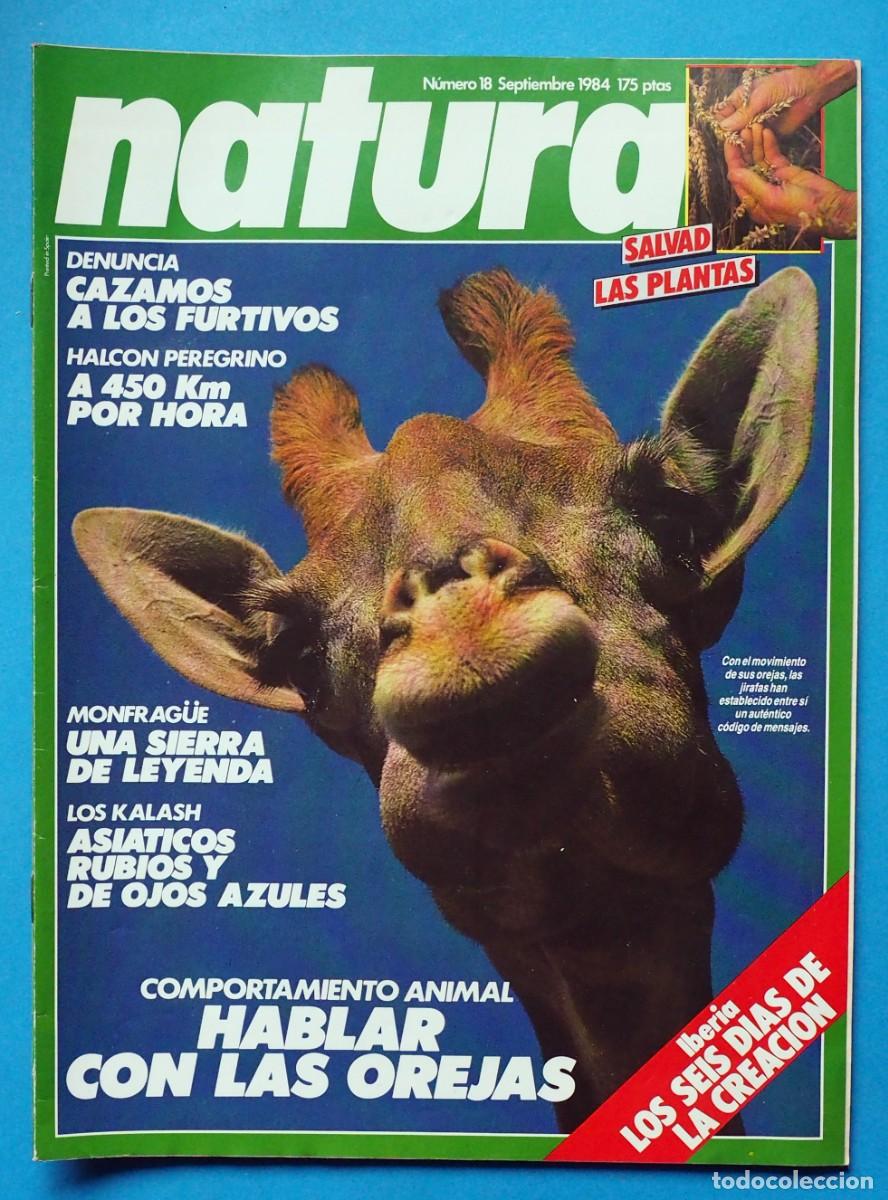 Coleccionismo de revistas y peri&oacute;dicos: REVISTA NATURA: N&ordm; 18. SEPTIEMBRE. 1984