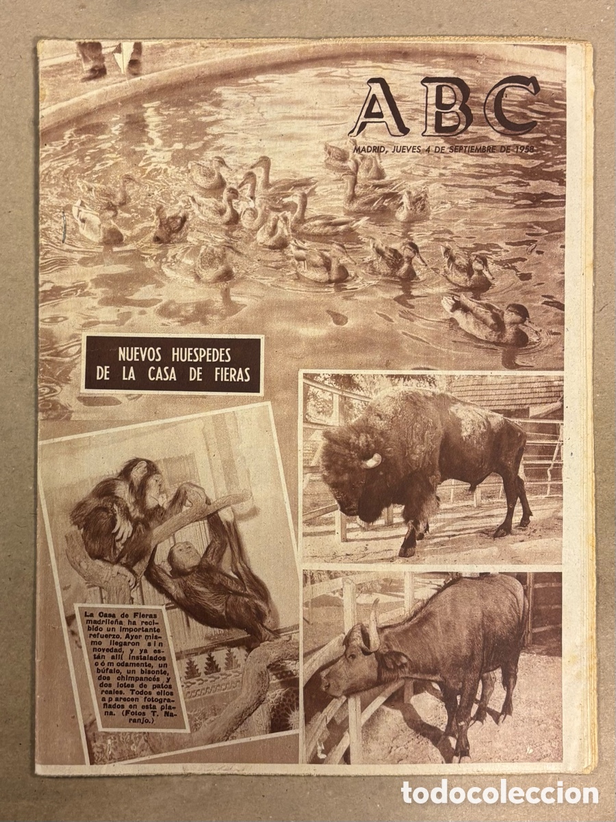 Coleccionismo de revistas y peri&oacute;dicos: ABC (4 SEPTIEMBRE 1958) NUEVOS HU&Eacute;SPEDES CASA DE FIERAS, MINEROS MUERTOS GRIS&Uacute; LAVIANA,&hellip;