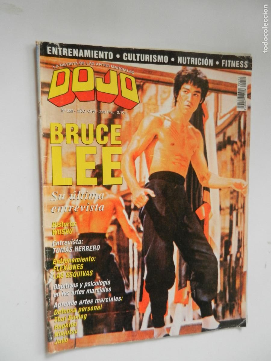 Coleccionismo de revistas y peri&oacute;dicos: DOJO N&ordm; 289 - BRUCE LEE SU ULTIMA ENTREVISTA -