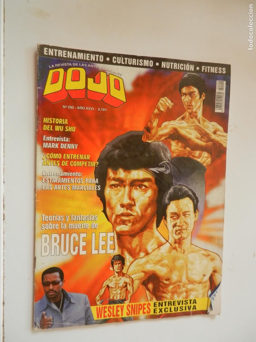 Coleccionismo de revistas y peri&oacute;dicos: DOJO N&ordm; 292-BRUCE LEE-TEORIAS Y FANTASIAS SOBRE SU MUERTE