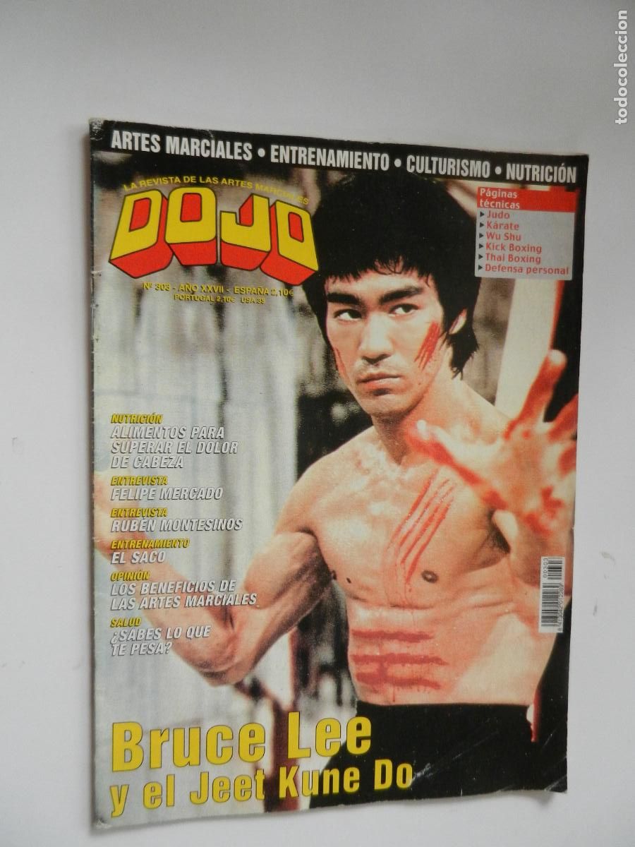 Coleccionismo de revistas y peri&oacute;dicos: REVISTA DOJO N&ordm; 303 - BRUCE LEE Y EL JEET KUNE DO