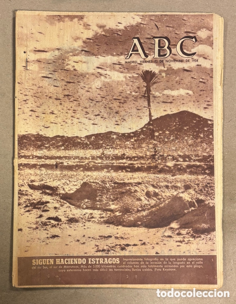 Coleccionismo de revistas y peri&oacute;dicos: ABC (12 NOVIEMBRE 1954) TEMPORAL SUR DE MARRUECOS, CARLOS LEMOS, SAN AGUST&Iacute;N,&hellip;
