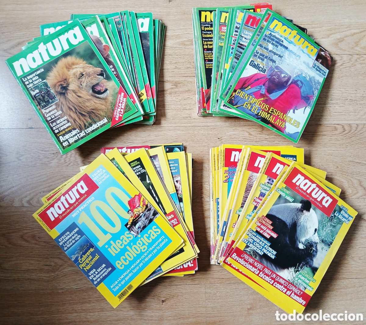 Collezionismo di Riviste e Giornali: Gran colecci&oacute;n revista NATURA 1983-1992
