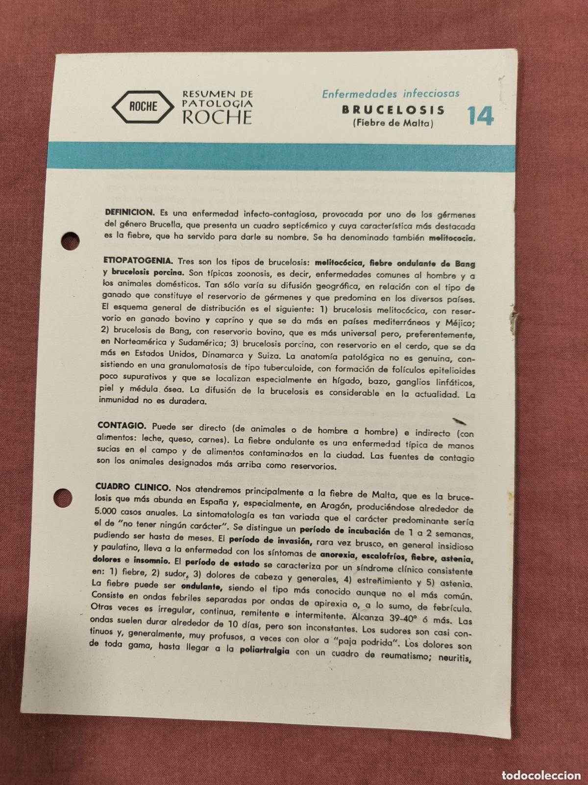 Coleccionismo de revistas y peri&oacute;dicos: Folleto Resumen de Patolog&iacute;a Roche N&ordm; 14 &ndash; Infecciosas: Brucelosis (Fiebre de Malta)
