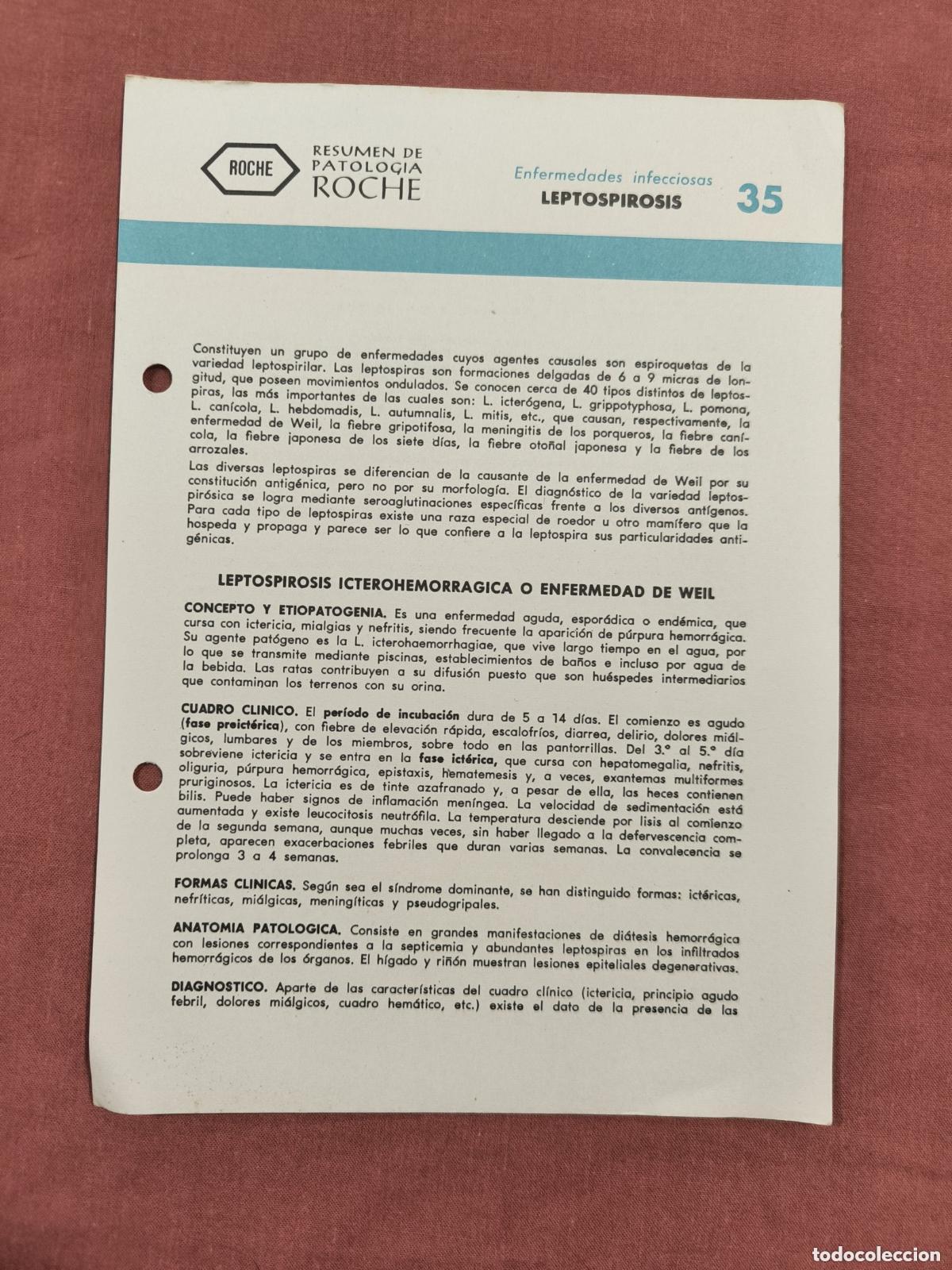 Sammeln von Zeitschriften und Zeitungen: Folleto Resumen de Patolog&iacute;a Roche N&ordm; 35 &ndash; Enfermedades Infecciosas: Leptospirosis