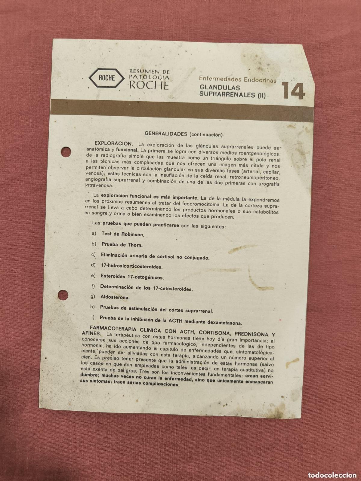 Sammeln von Zeitschriften und Zeitungen: Folleto Resumen de Patolog&iacute;a Roche N&ordm; 14 &ndash; Gl&aacute;ndulas Suprarrenales II