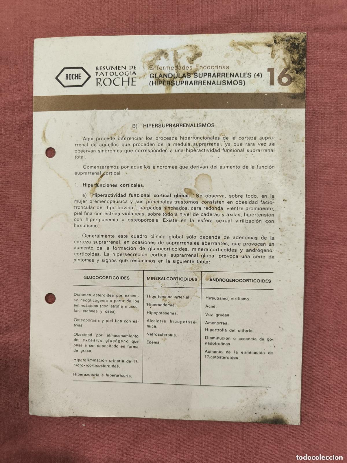 Collezionismo di Riviste e Giornali: Folleto Resumen de Patolog&iacute;a Roche N&ordm; 16 &ndash; Suprarrenales 4: Hipersuprarrenalismos