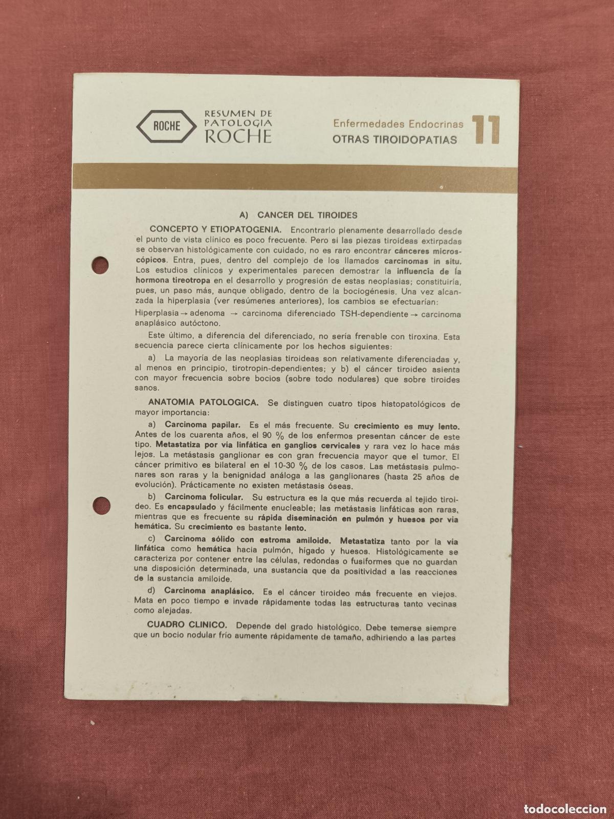 Sammeln von Zeitschriften und Zeitungen: Folleto Resumen de Patolog&iacute;a Roche N&ordm; 11 &ndash; Enfermedades Endocrinas: Otras Tiroidopat&iacute;as