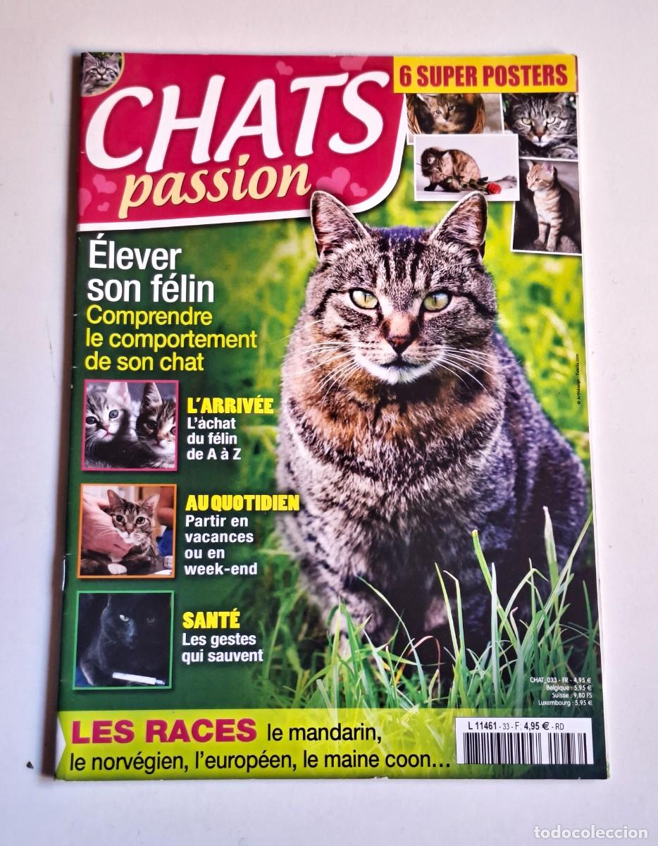 Collectionnisme de Revues et Journaux: REVISTA CHATS PASSION - ELEVER SON FELIN. MASCOTAS