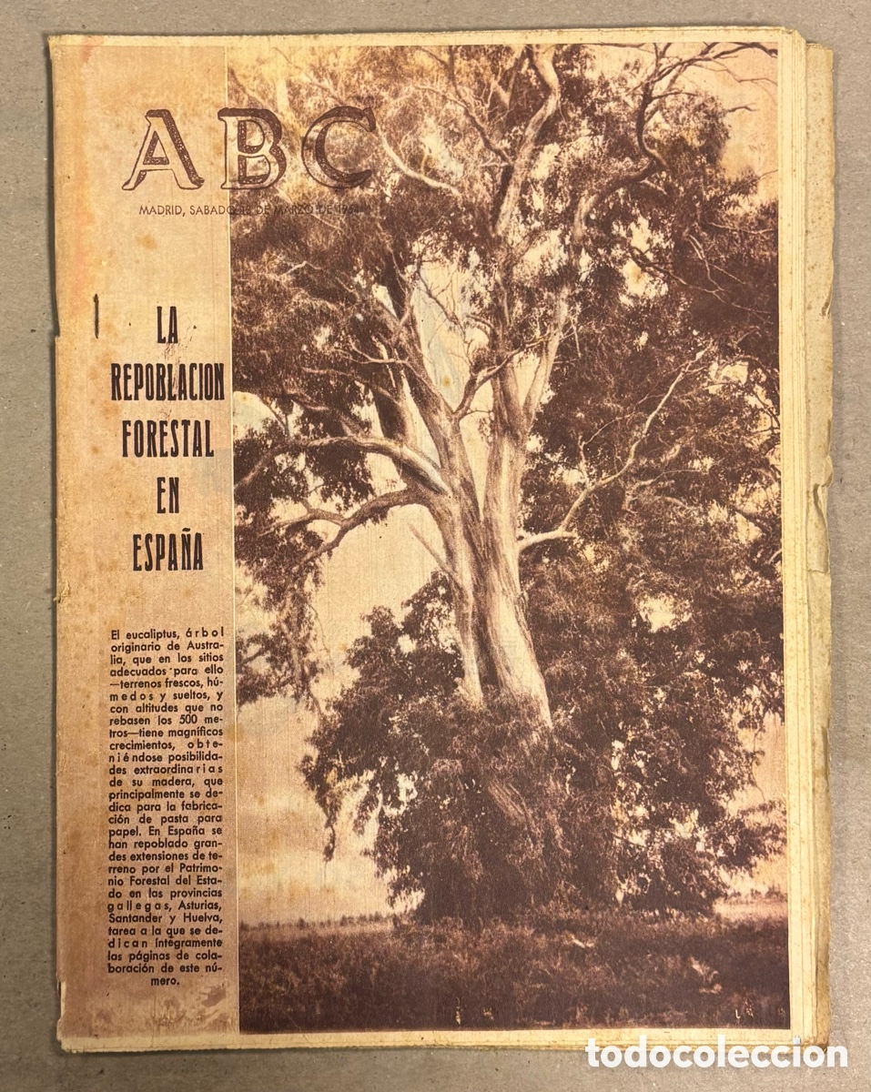 Coleccionismo de revistas y peri&oacute;dicos: ABC (13 MARZO 1954) ESPECIAL SOBRE LA REPOBLACI&Oacute;N FORESTAL ESPA&Ntilde;A,&hellip;
