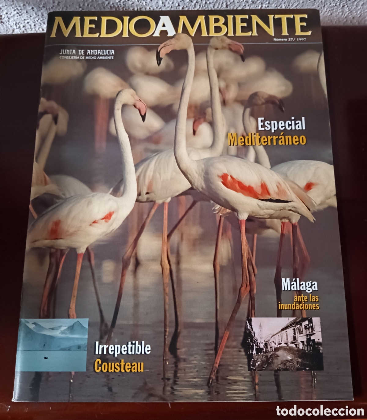 Colecionismo de Revistas e Jornais: Revista MedioAmbiente.