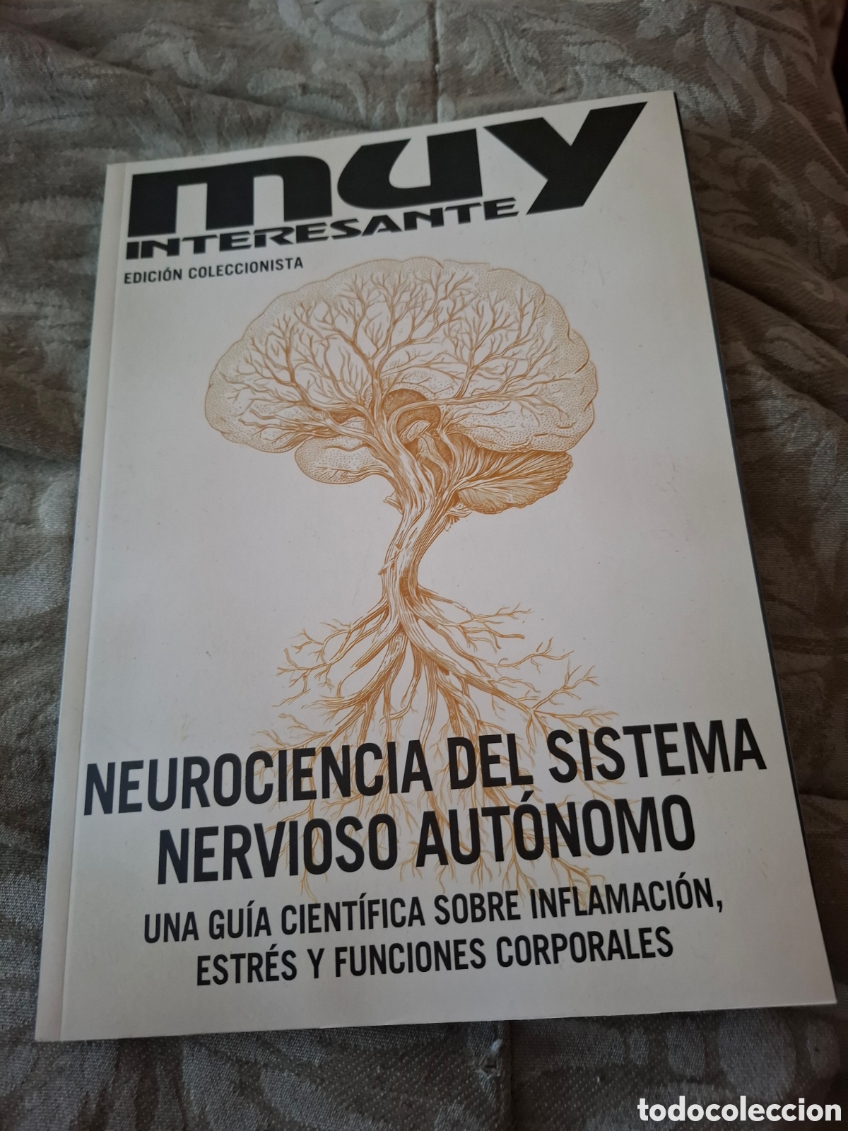 Coleccionismo de revistas y peri&oacute;dicos: Muy Interesante Ed Coleccionista Neurociencia Del Sistema Nervioso Aut&oacute;nomo