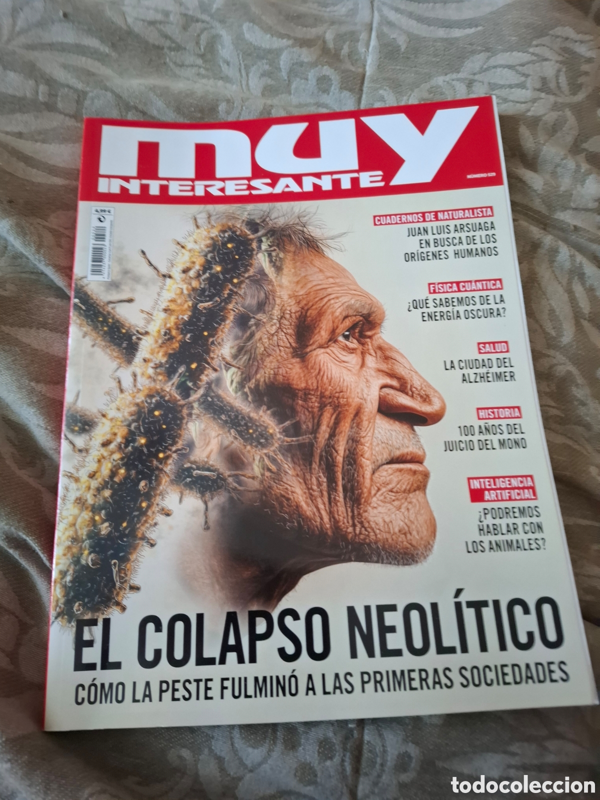 Collezionismo di Riviste e Giornali: Muy interesante 529 El colapso neol&iacute;tico