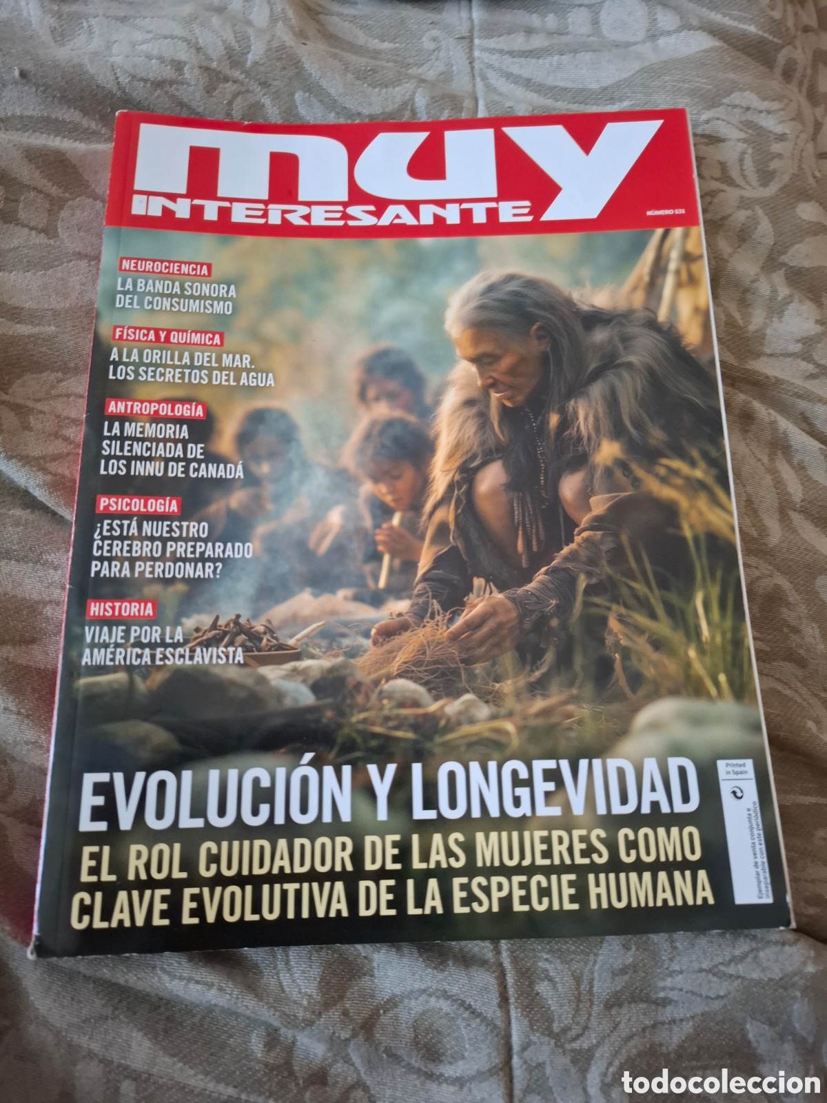 Coleccionismo de revistas y peri&oacute;dicos: Muy interesante 531 evoluci&oacute;n y longevidad