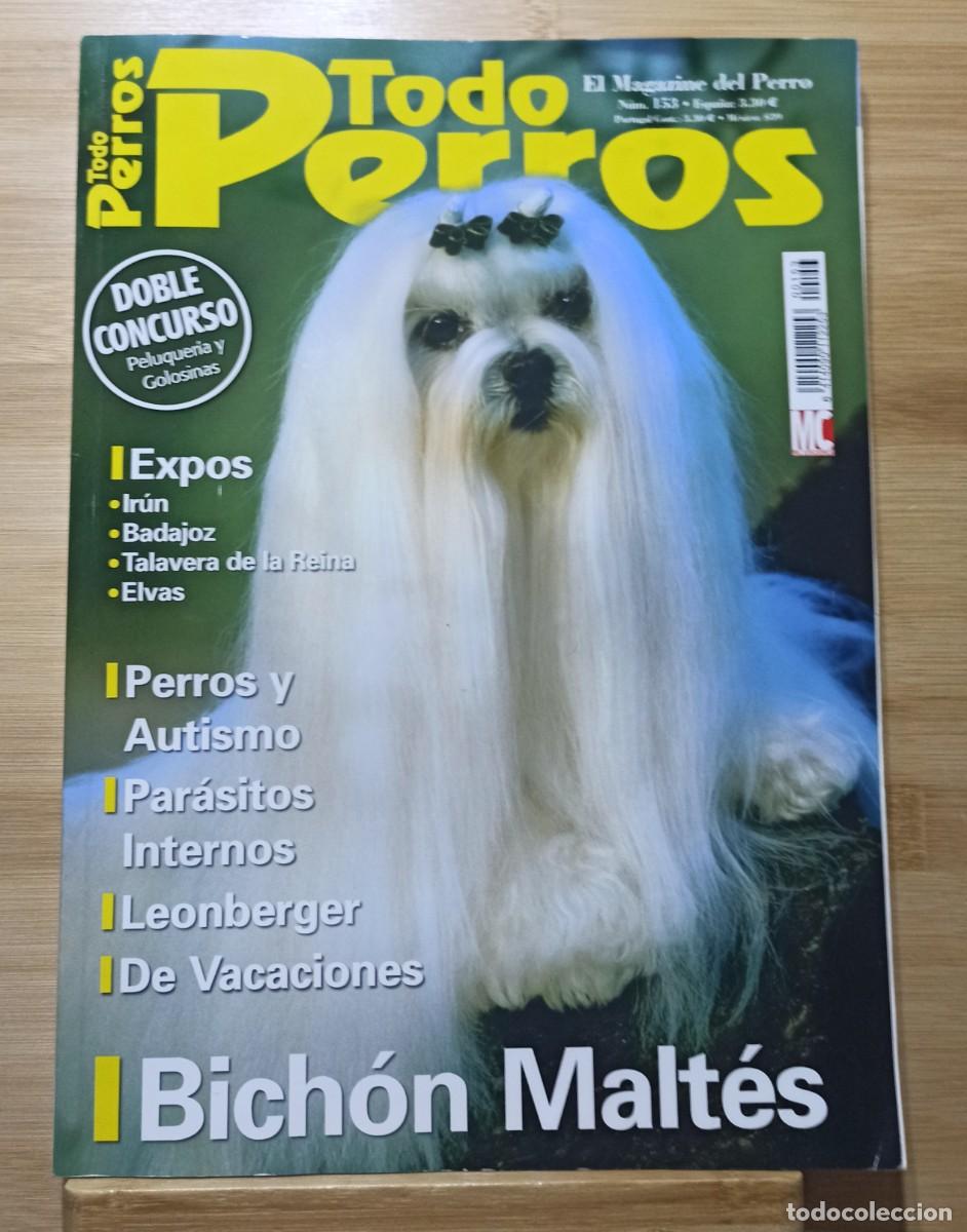 Collectionnisme de Revues et Journaux: Revista Todo Perros N 153 Bichon Maltes Poster Shih Tzu Leonberger Exposiciones