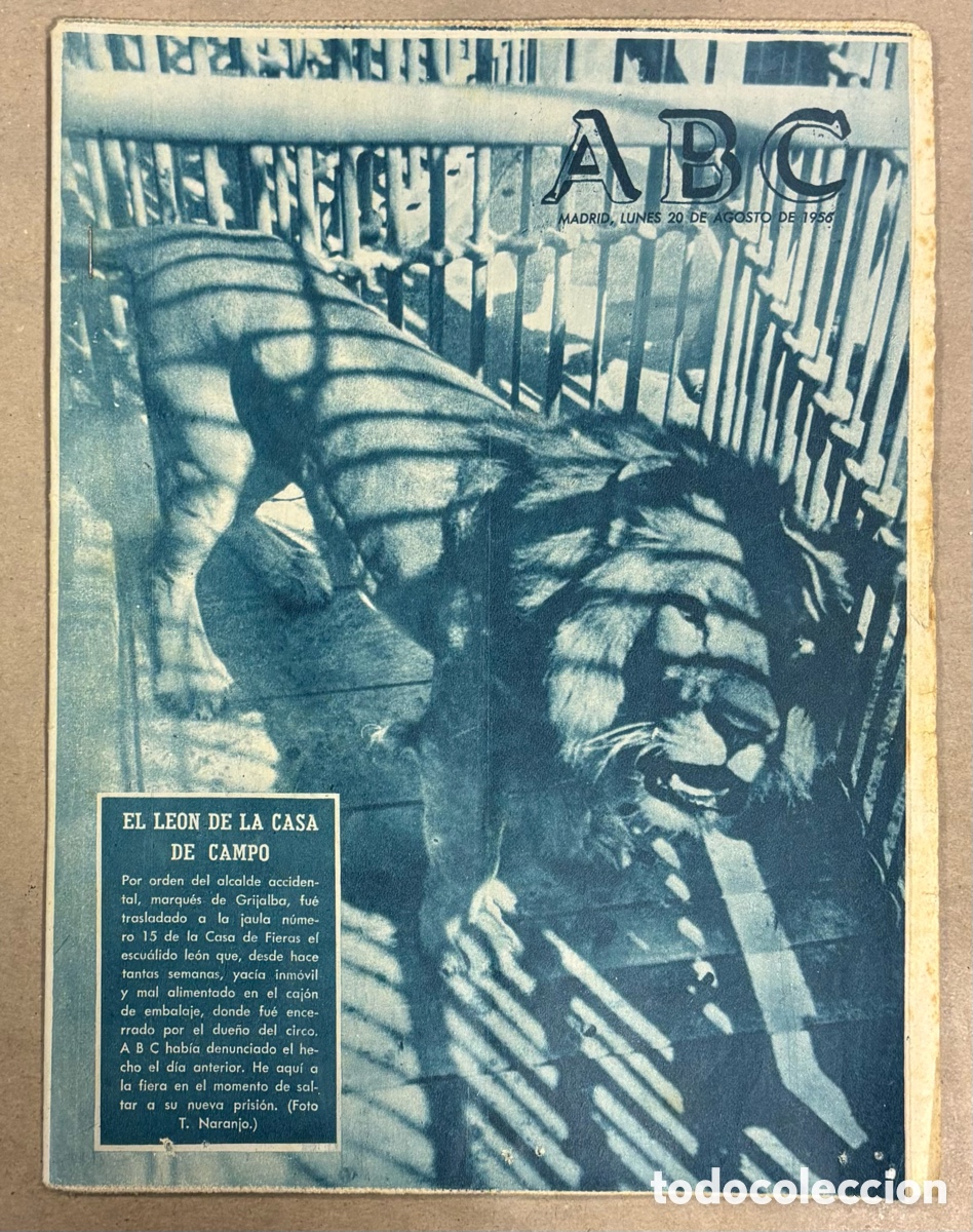 Collectionnisme de Revues et Journaux: ABC (20 AGOSTO 1956) TRASLADO LE&Oacute;N DE LA CASA DE CAMPO, LA VIRGEN DEL PILAR EN EL ANETO,&hellip;