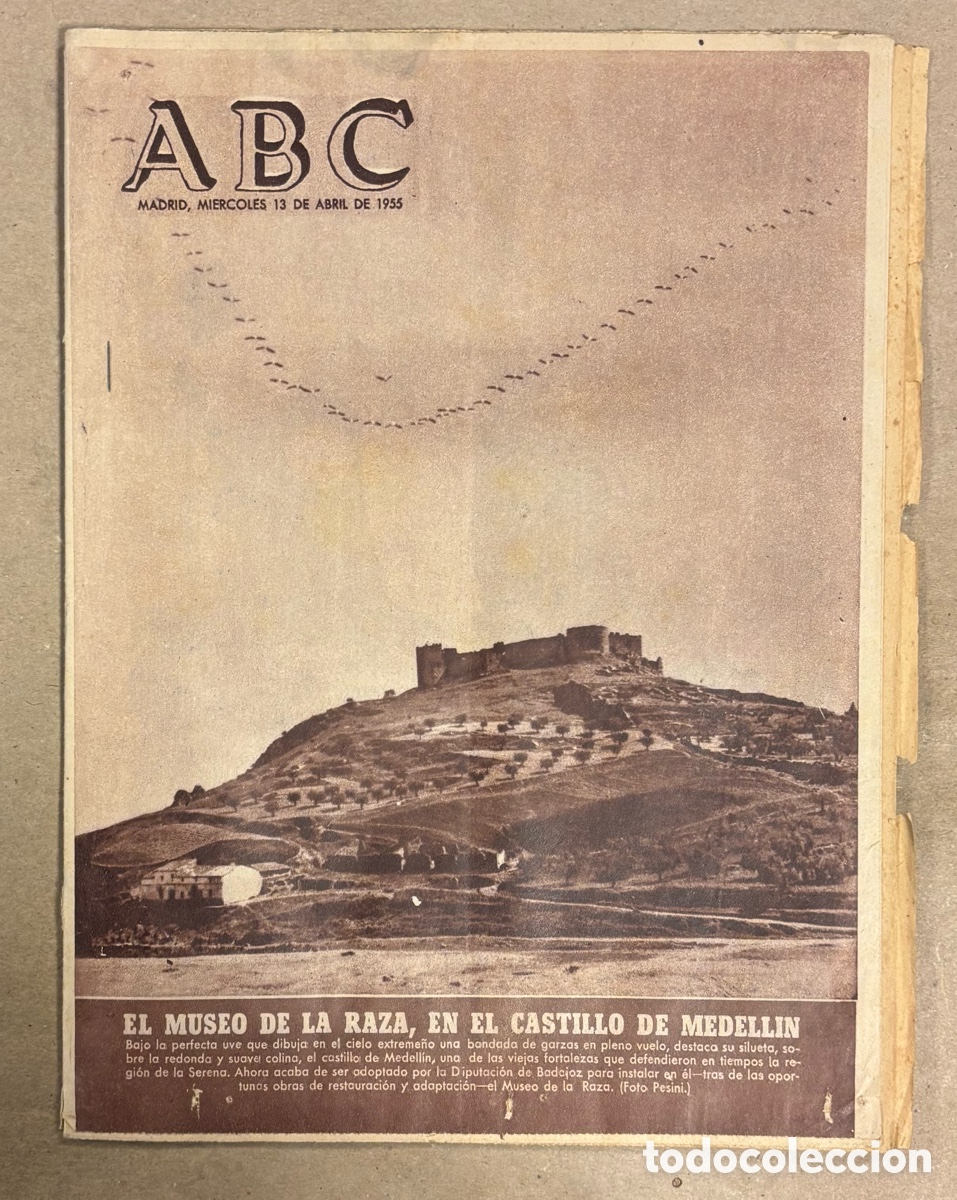 Coleccionismo de revistas y peri&oacute;dicos: ABC (13 ABRIL 1955) MUSEO DE LA RAZA CASTILLO MEDELLIN (BADAJOZ), CULTURAL LEONESA Y MURCIA SUBEN 1&ordf;