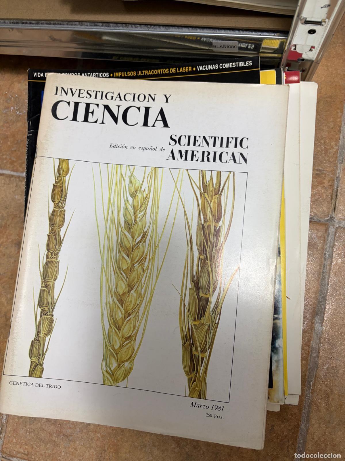 Collection Magazines and Newspapers: BLAS108C REVISTA INVESTIGACION Y CIENCIA Marzo 1981 Genetica del trigo