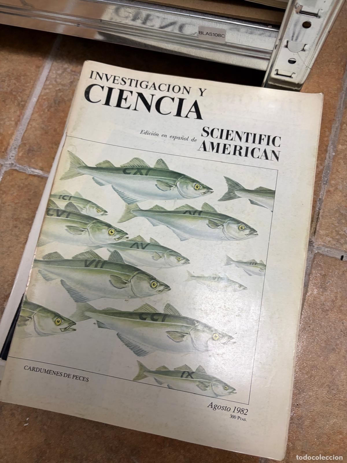 Collectionnisme de Revues et Journaux: BLAS108C REVISTA INVESTIGACION Y CIENCIA Agosto 1982 Cardumenes de peces