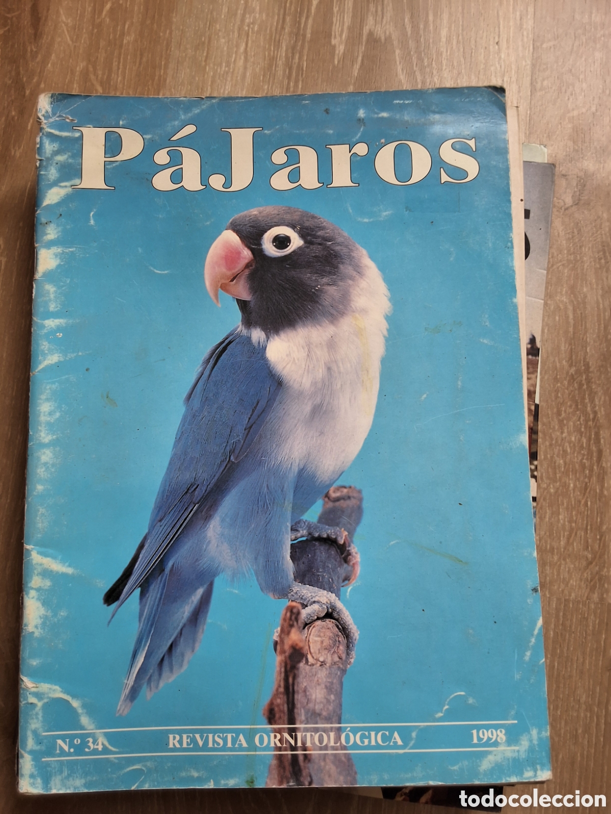 Collectionnisme de Revues et Journaux: P&aacute;jaros revista ornitologica n&uacute;mero 34 a&ntilde;o 1998
