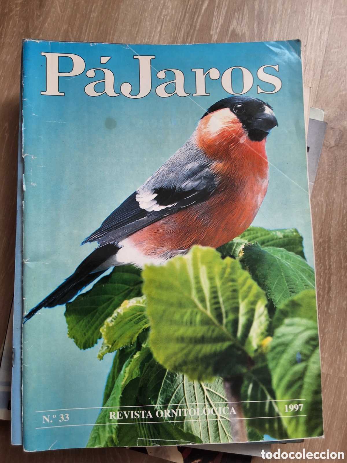 Coleccionismo de revistas y peri&oacute;dicos: P&aacute;jaros revista ornitologica n&uacute;mero 33 a&ntilde;o 1997