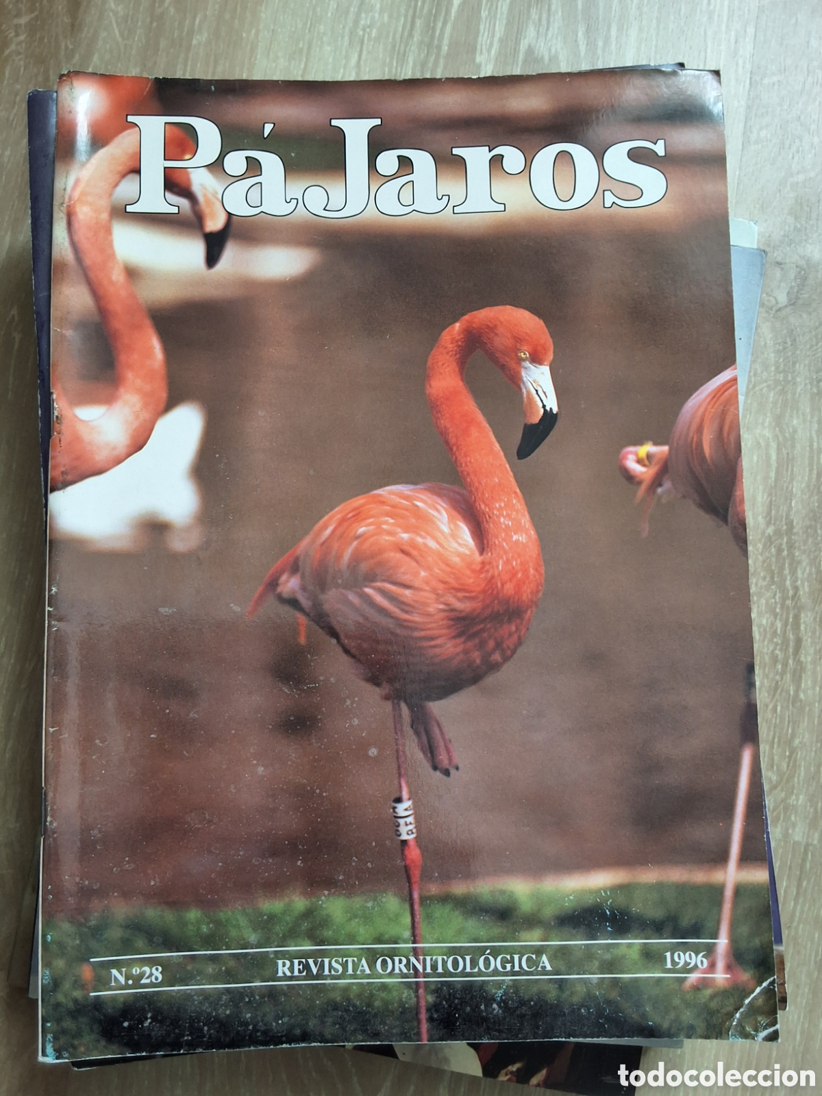 Coleccionismo de revistas y peri&oacute;dicos: P&aacute;jaros revista ornitologica n&uacute;mero 28 a&ntilde;o 1996