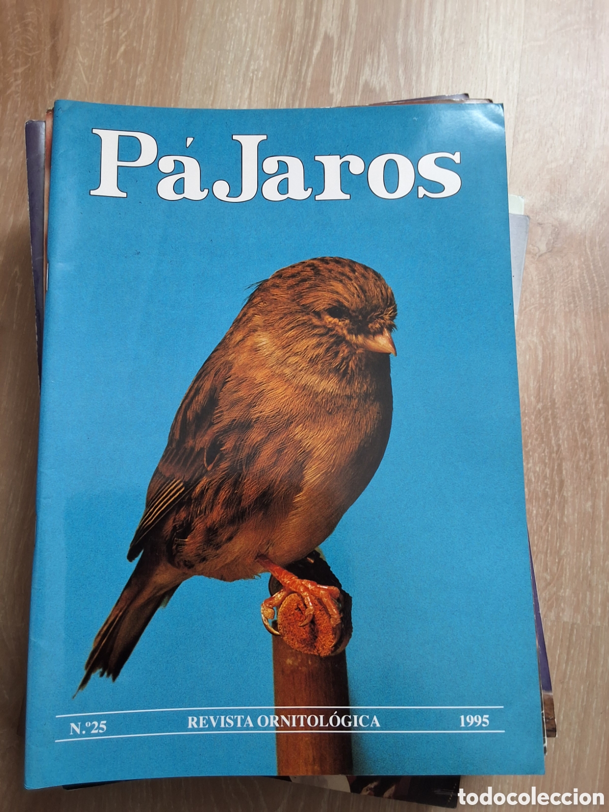 Collectionnisme de Revues et Journaux: P&aacute;jaros revista ornitologica n&uacute;mero 25 a&ntilde;o 1995