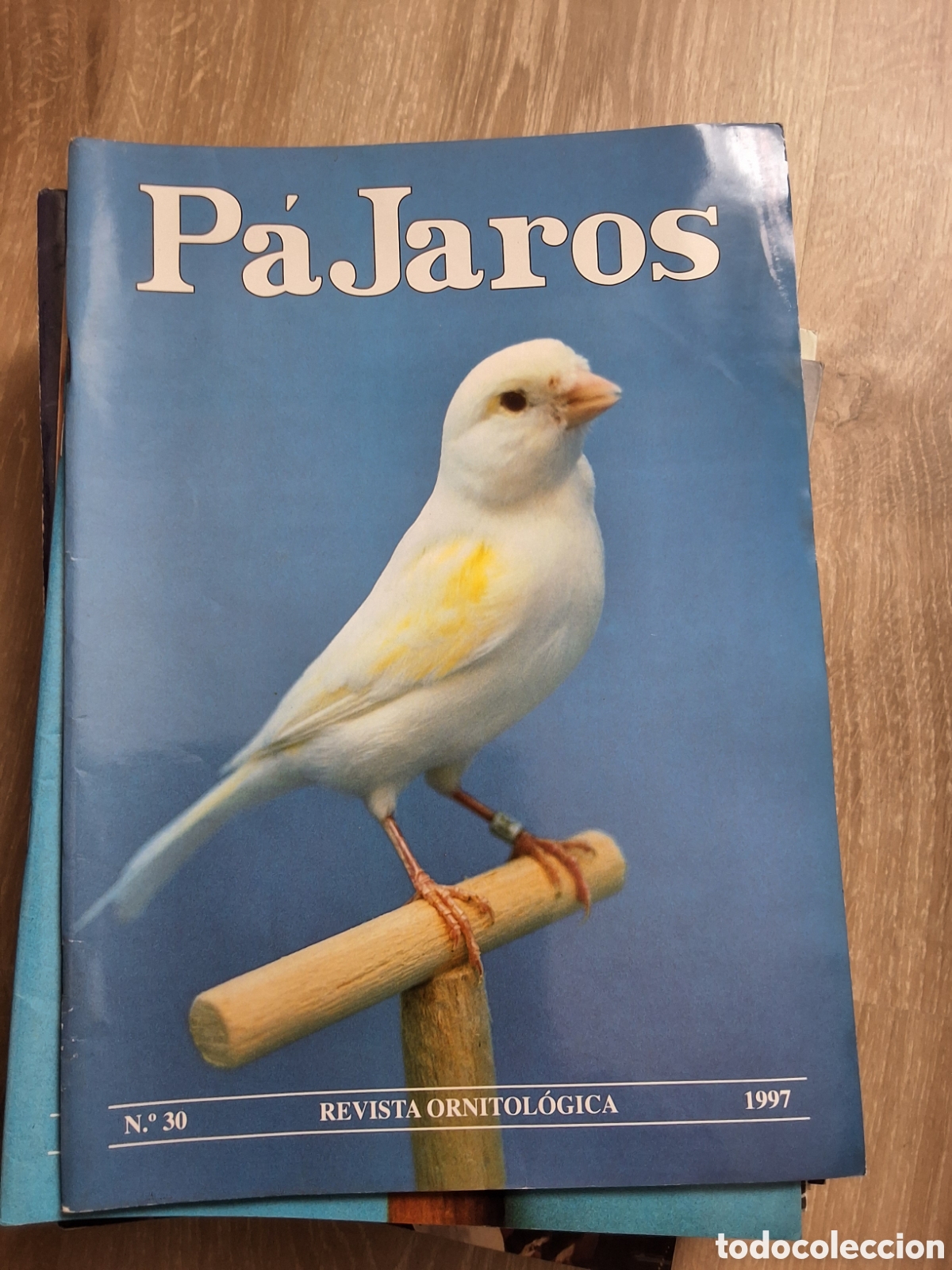 Collectionnisme de Revues et Journaux: P&aacute;jaros revista ornitologica n&uacute;mero 30 a&ntilde;o 1997