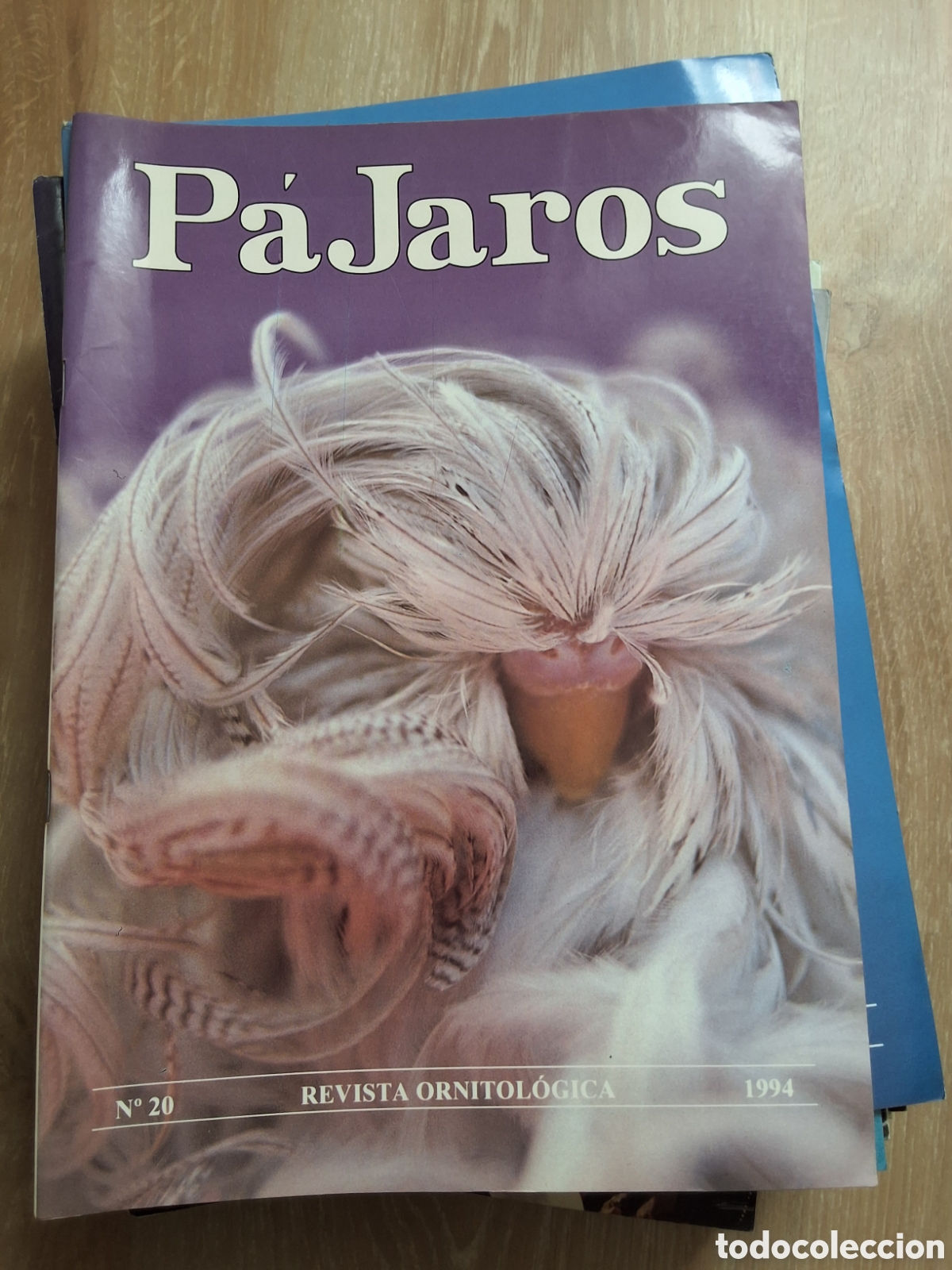 Collectionnisme de Revues et Journaux: P&aacute;jaros revista ornitologica n&uacute;mero 20 a&ntilde;o 1994