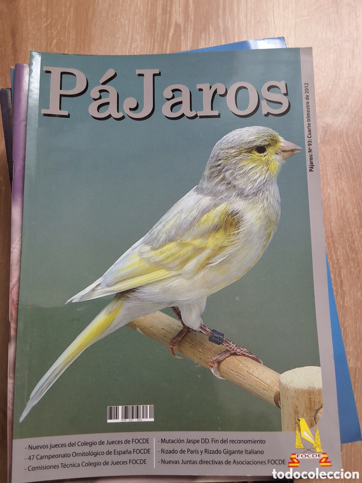 Collectionnisme de Revues et Journaux: P&aacute;jaros revista ornitologica n&uacute;mero 93 a&ntilde;o 2012