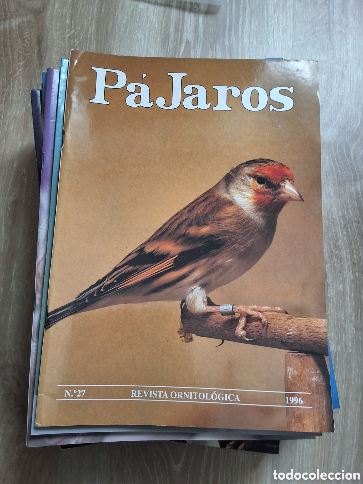 Collectionnisme de Revues et Journaux: P&aacute;jaros revista ornitologica n&uacute;mero 27 a&ntilde;o 1996