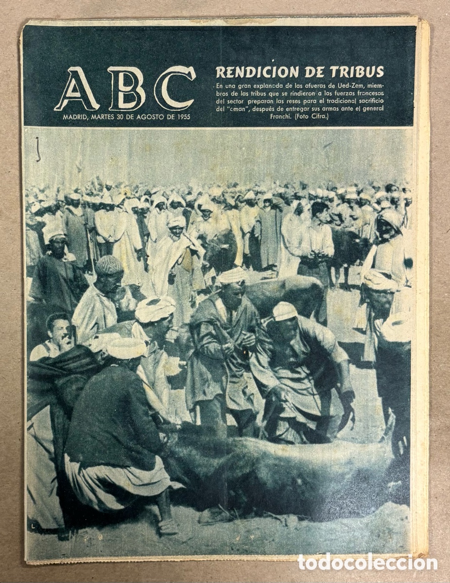 Collezionismo di Riviste e Giornali: ABC (29 AGOSTO 1955) RENDICI&Oacute;N TRIBUS UED-ZEM MARRUECOS, TUDANCA, BUSQUEDA OBRERO ESTADIO METROPOLIT