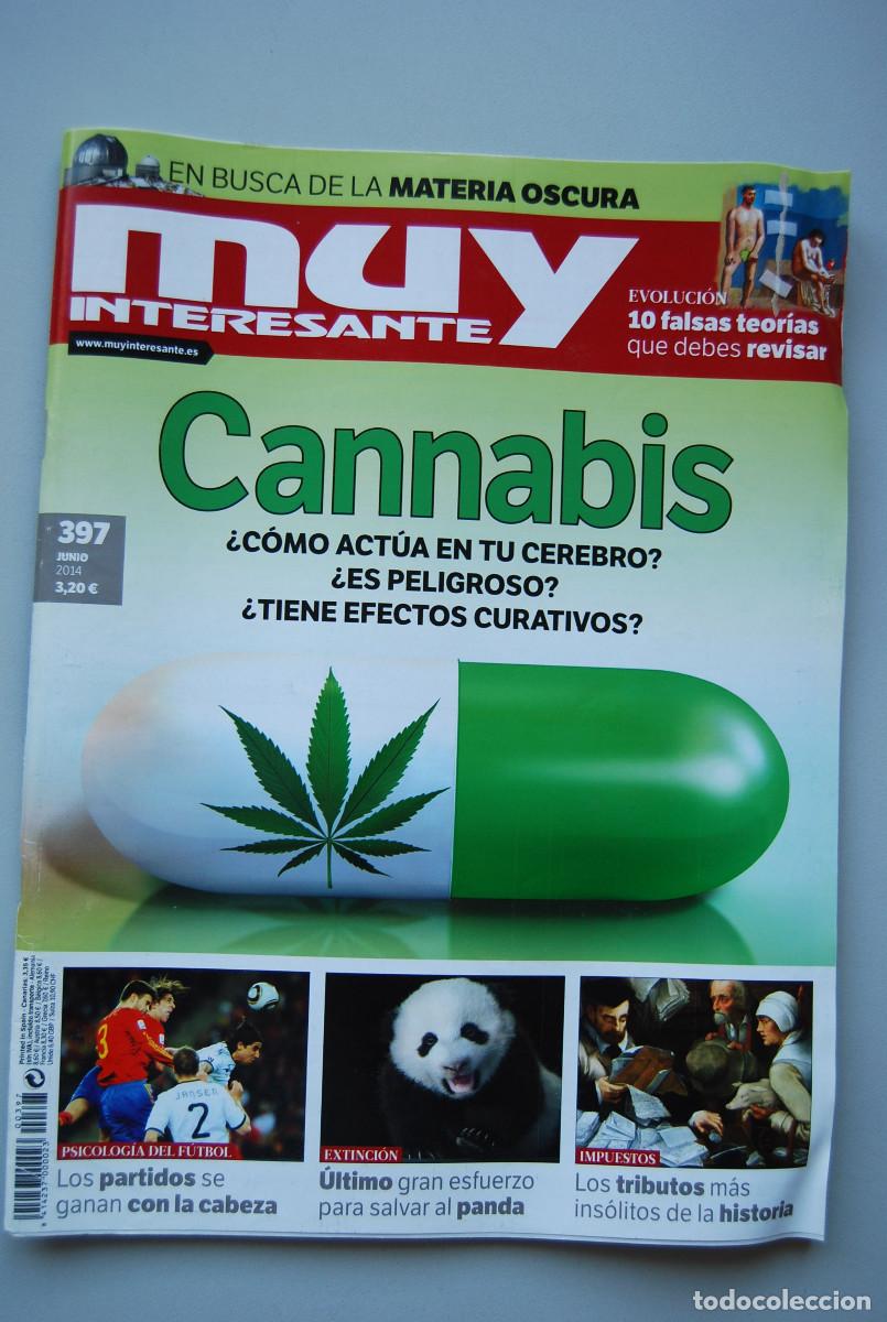 Collezionismo di Riviste e Giornali: MUY INTERESANTE.NUM.397-2014 : CANNABIS-MATERIA OSCURA-FALSAS TEORIAS-TRIBUTOS-OSO PANDA
